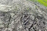 В саратовском селе перестанут бояться похорон в дождливый день