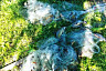В Саратовской области браконьеры лишились сетей и улова 
